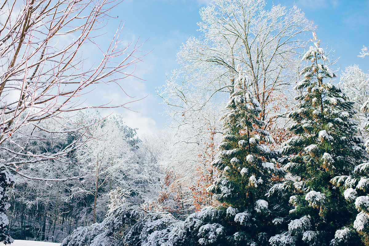 Winter Deal